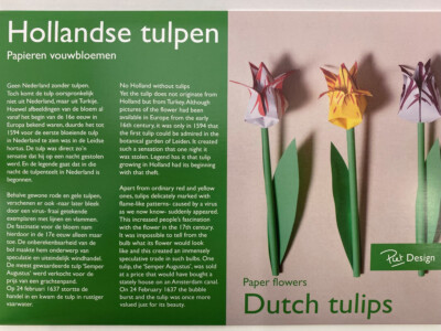 Piet design - Tulips
