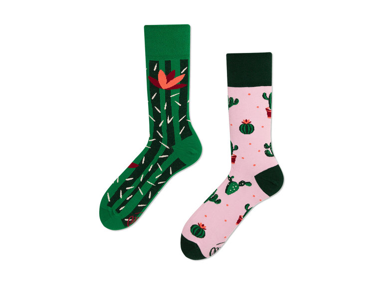 Frida socks ‘Summer Cactus’