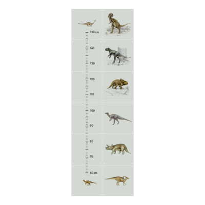 Dino Growth Chart