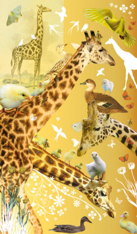 Tord Boontje - Giraffe and Birds - Giclée